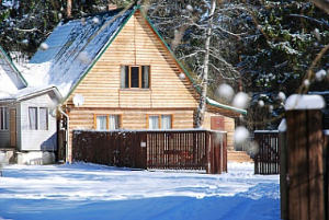 Сказки зимнего леса